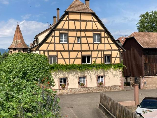 Joli Gite 2 Personnes En Alsace Guémar Exteriör bild
