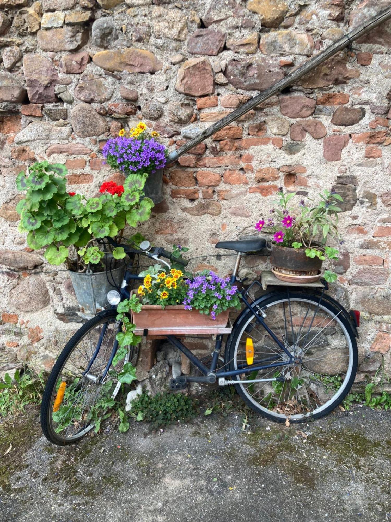 Joli Gite 2 Personnes En Alsace Guémar Exteriör bild